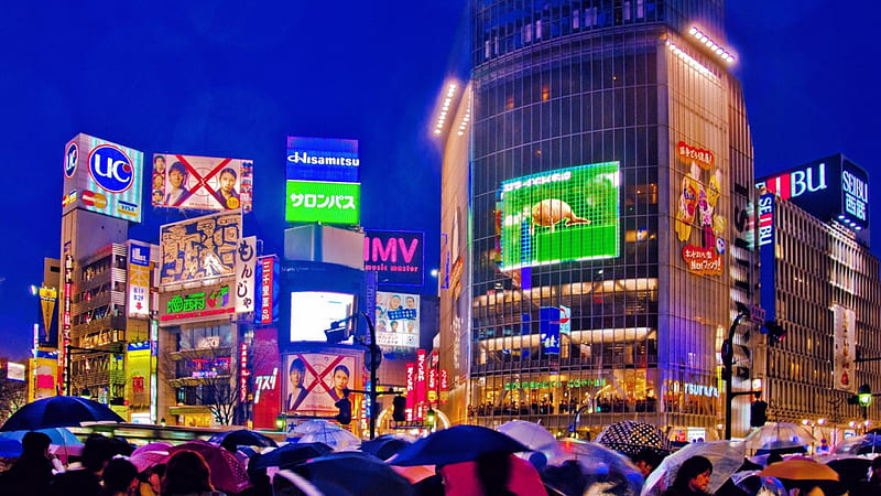 rain on a busy street in tokyo, umbrellas, city, people, rain, HD wallpaper