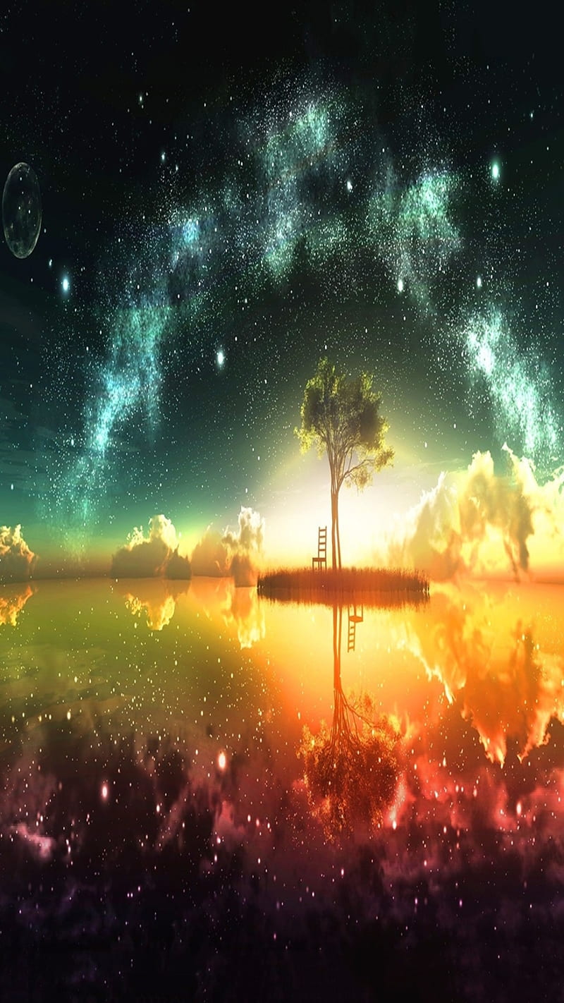 Dream stars, cool, dream, landscape, nature, reflection, stars, tree ...