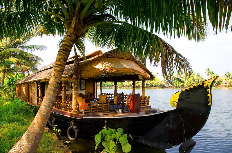 Houseboat, rest, shore, vacation, relax, trees, palms, palm trees, boat, water, trip, summer, nature, river, HD wallpaper