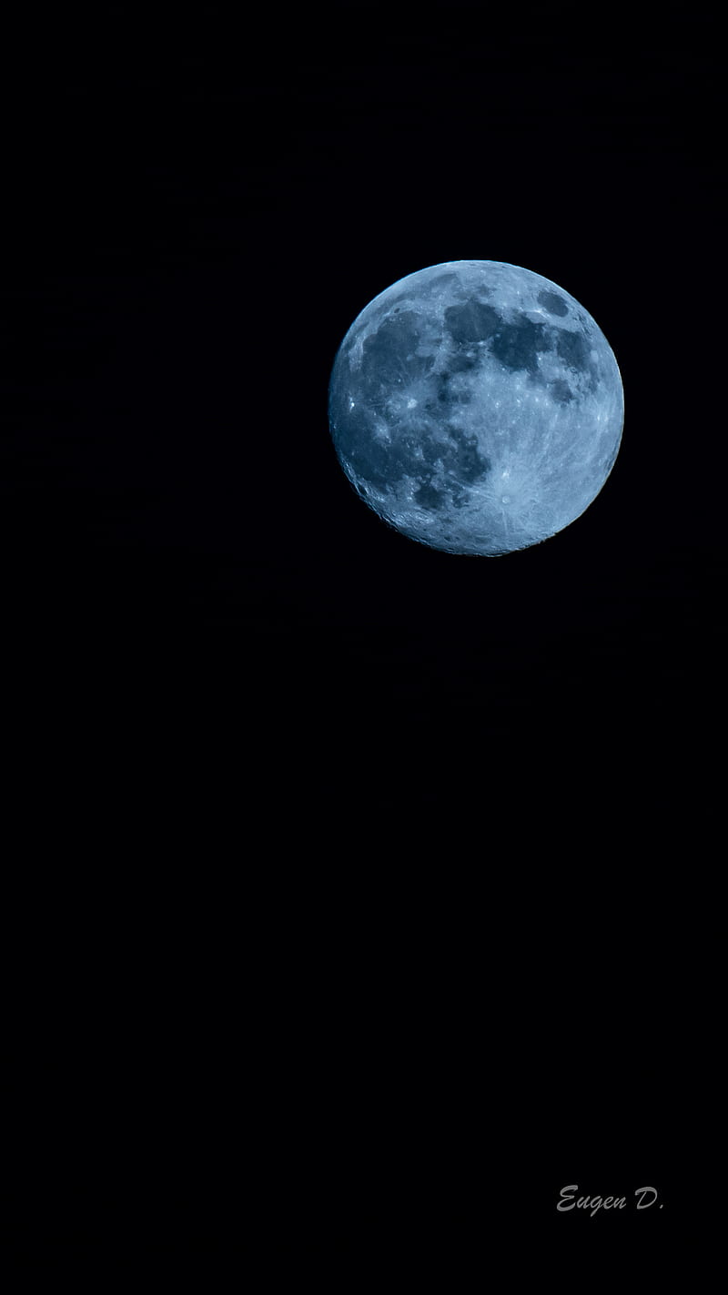 Blue Moon, abstract, art, black, bluemoon, fullmoon, gris, night, warewolf, HD phone wallpaper