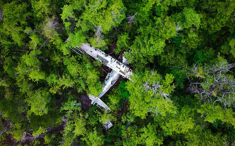 crashed plane, jungle, forest, view from above, plane crash, broken plane, HD wallpaper