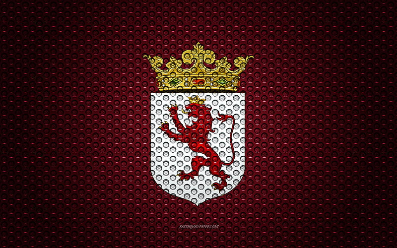 Flag of Leon creative art, metal mesh texture, Leon flag, national symbol, provinces of Spain, Leon, Spain, Europe, HD wallpaper