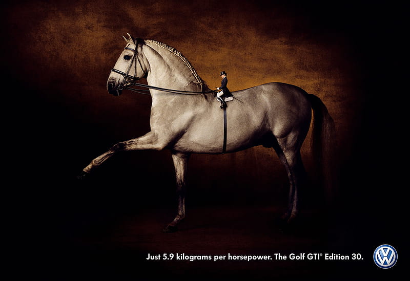 Spanish stallion(funny advertisement), dressage, spanish horse, animals, horses, spain, HD wallpaper