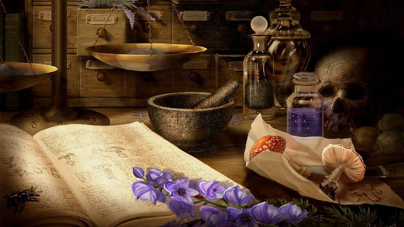 WITCHES SPELL BOOK, WITCHES SPELL, BOOK, HD wallpaper