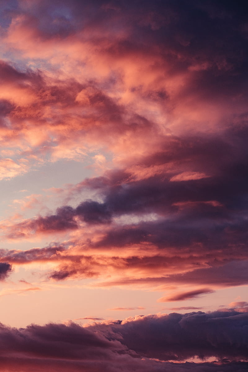 sky, clouds, pink, sunset, HD phone wallpaper