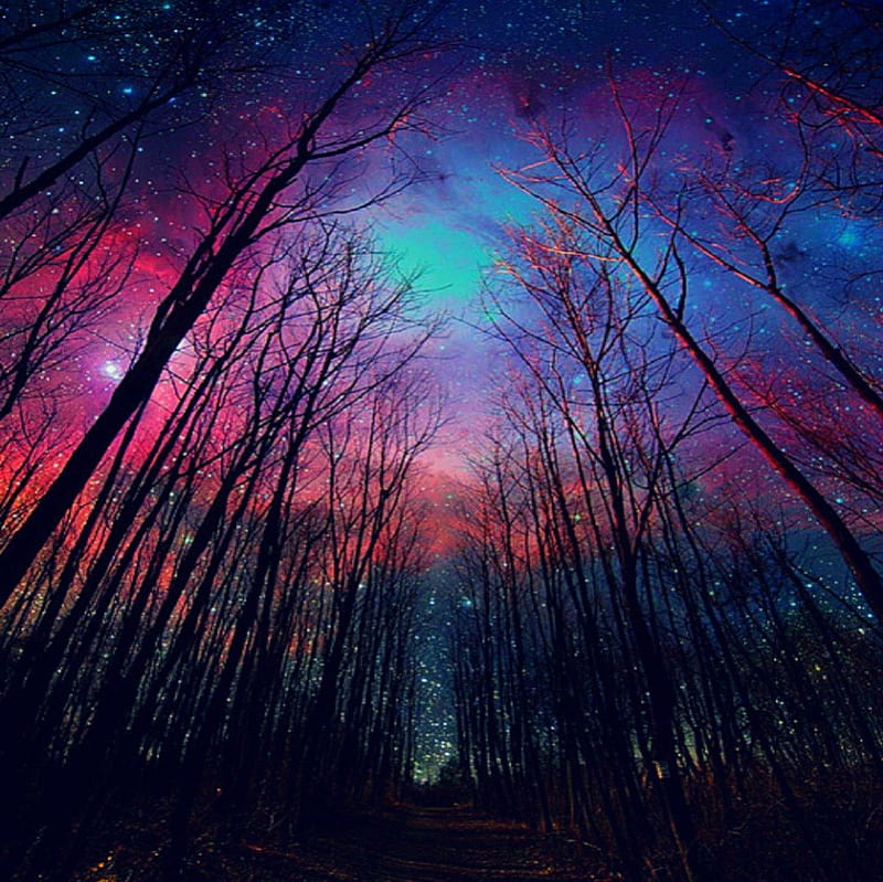 Magical Sky, Stars, Magical, Sky, Night, HD wallpaper | Peakpx