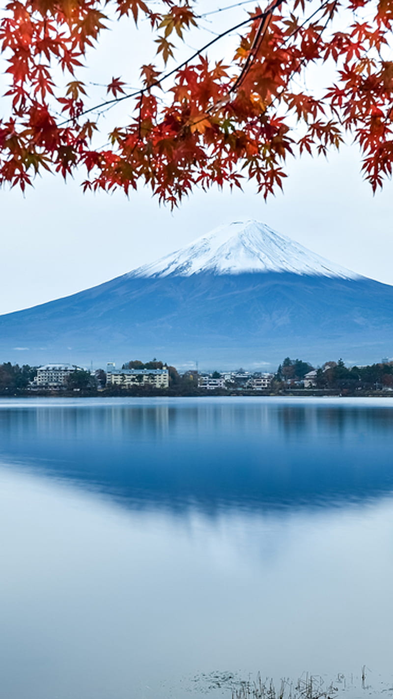 Snowy Fuji, japan, lake, mountain, nature, red leaves, snow, tokyo, white, HD phone wallpaper