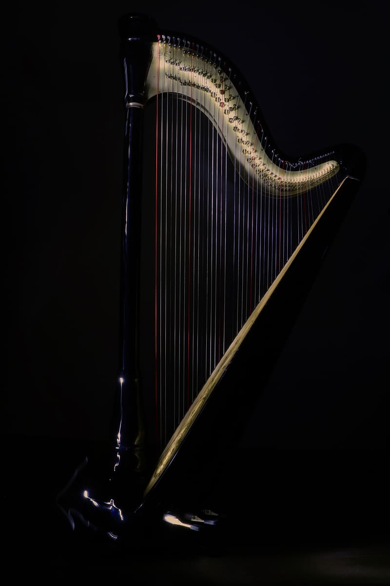 harp, strings, music, dark, HD phone wallpaper