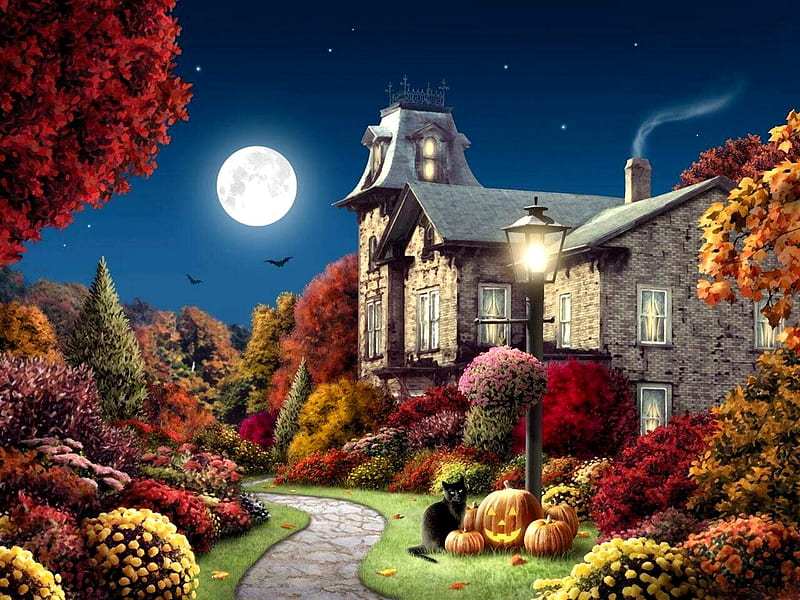 AUTUMN MOONLIGHT, colorful, autumn, house, cottage, flowers, moonlight, cat, pumpkins, HD wallpaper