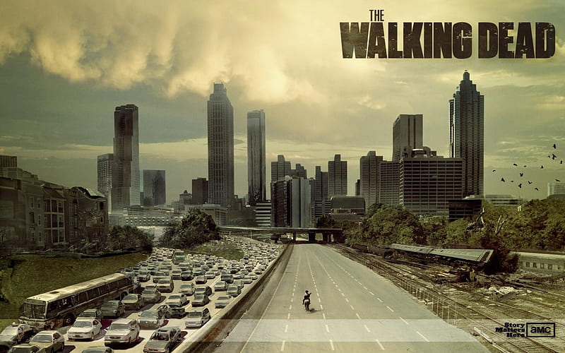 The Walking Dead-American TV series 16, HD wallpaper