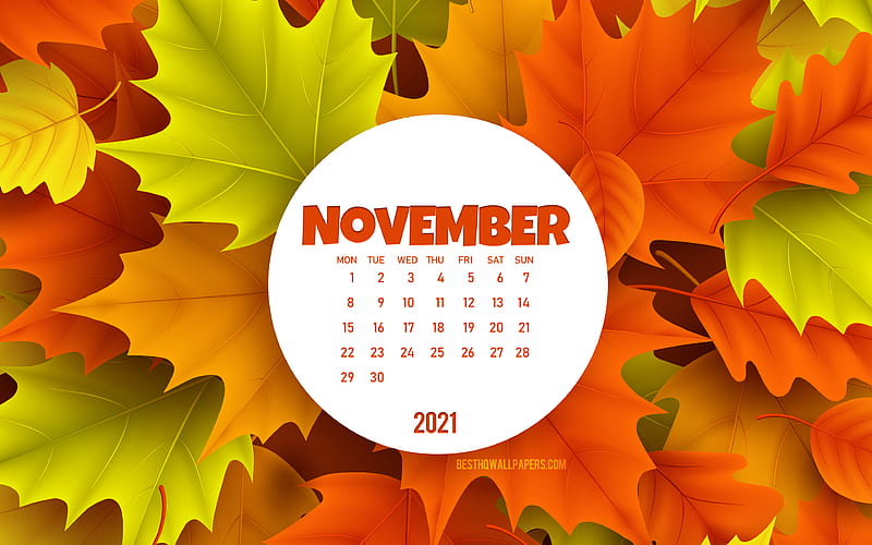 2021 November Calendar, , background with autumn leaves, November 2021 Calendar, 2021 concepts, 2021 calendars, November, HD wallpaper