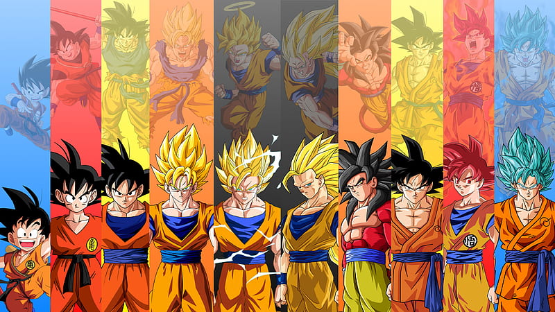 All forms of Goku, dragon ball, super saiyan, super saiyan 3, HD wallpaper  | Peakpx
