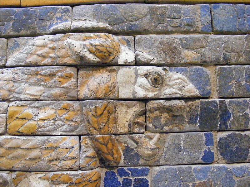 Babylonian Lion Head, stones, head, babylonian, mosaic, lion, HD wallpaper