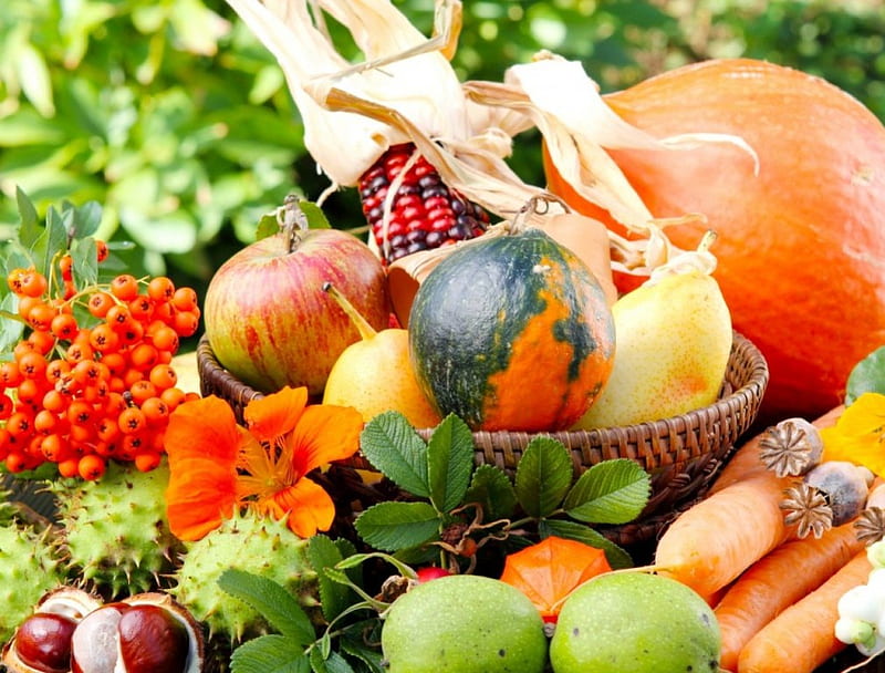 Healthy foods, corn, autumn, food, pimpkin, apples, mountain ash, carrots, chestnuts, pears, basket, flower, vegetables, HD wallpaper