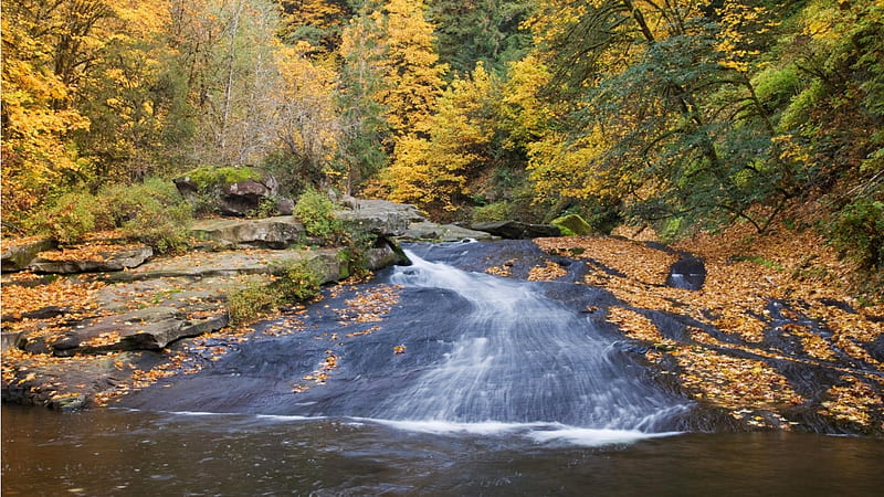 Natural Water Slide, fall, autumn, rock, trees, HD wallpaper