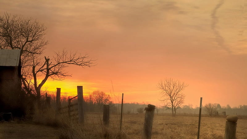wooden fence post on a farm at sunset, fence, farm, sunset, posts, HD wallpaper