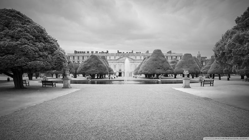 elegant hampton court palace, fountain, grass, black and white, palace, trees, HD wallpaper