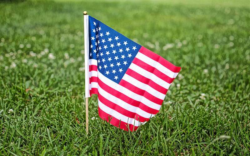 USA flag, small flag, hand USA flag, green grass, American flag, USA, US flag, United States of America, HD wallpaper