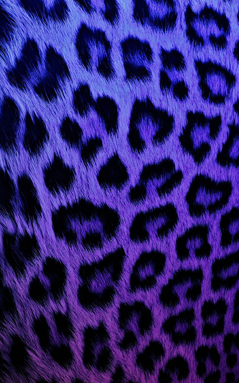 HD leopard - blue wallpapers