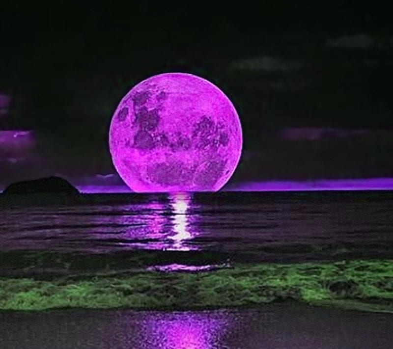Purple Moon, beach, lunar, night, HD wallpaper