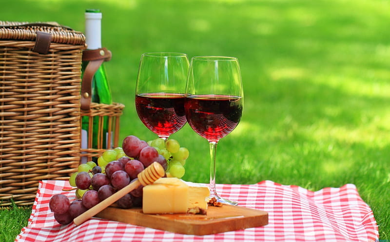 HD wallpaper picnic fun picnis foods entertainment