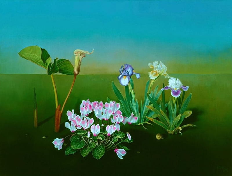 Flowers, cyclamen, painting, blossoms, spring, artwork, iris, HD wallpaper