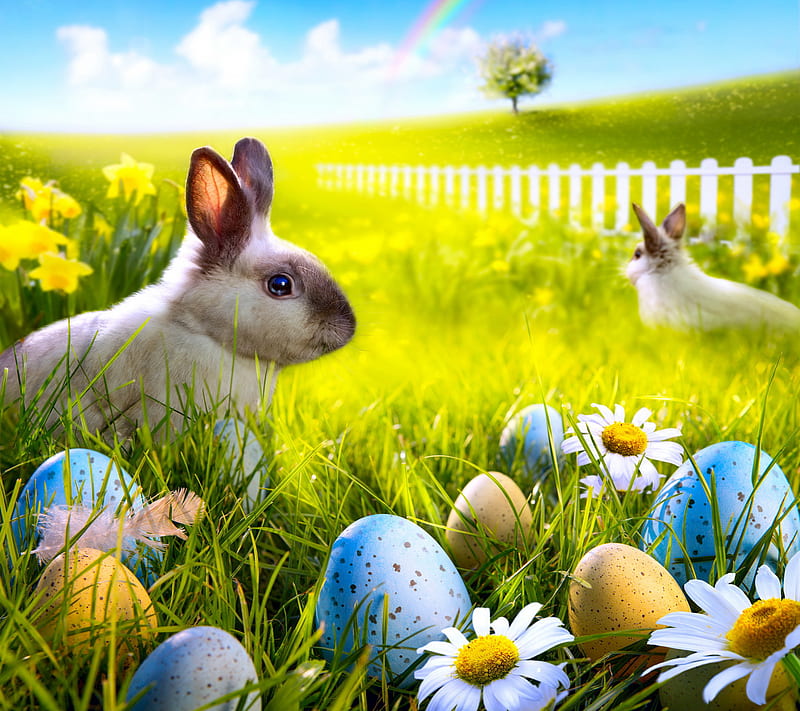 Easter Time, bunny, eggs, flowers, meadow, spring, HD wallpaper