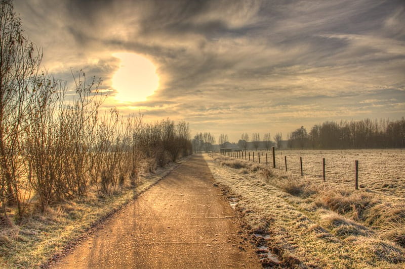 Fading into Winter, fence, pasture, road, sky, field, winter, frost, HD wallpaper