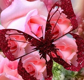 Flowers Butterfly Rose