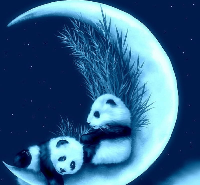 Heaven's Panda, panda, brothers, moons, paintings, crescent, love four seasons, animals, bamboo, HD wallpaper
