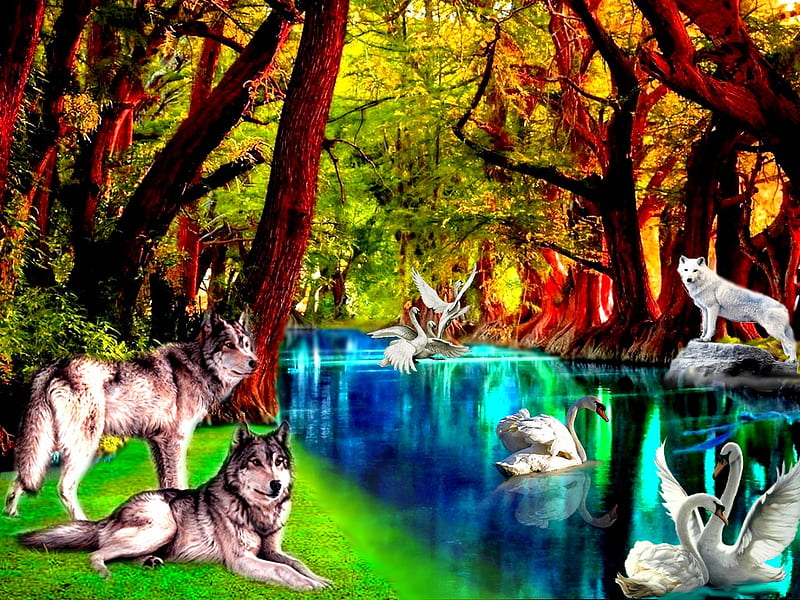 BEAUTY, forest, lakes, indian, 2012, lake, mountains, white swam, color, nature, wolf, wolves, indians, HD wallpaper
