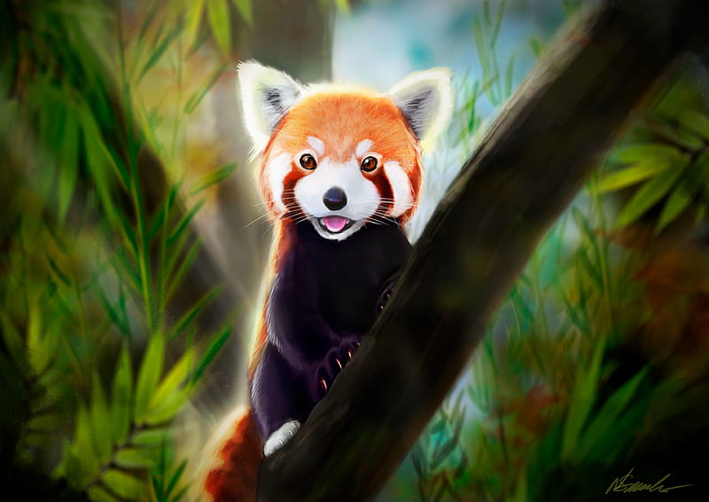 Animal, Red Panda, HD wallpaper | Peakpx