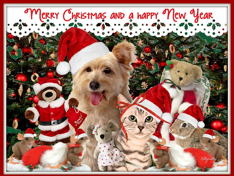 *Merry*Christmas*To Everybody* , Christmas, christmas tree, holiday, words, collage, cat, art design, merry Christmas, happy New Year, Dog, mouse, bunny, teddy bear, Xmas, animals, HD wallpaper
