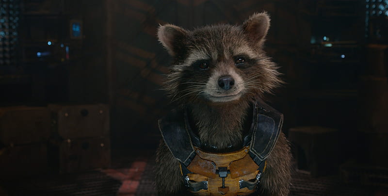 Rocket Raccoon Guardians Of The Galaxy, movies, guardians-of-the-galaxy, HD wallpaper