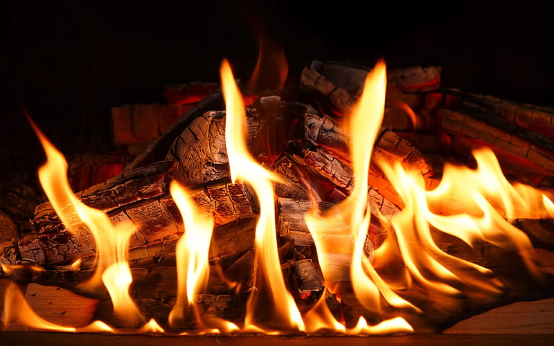 fire firewood, fireplace, wood charcoal, flames, close-up, HD wallpaper