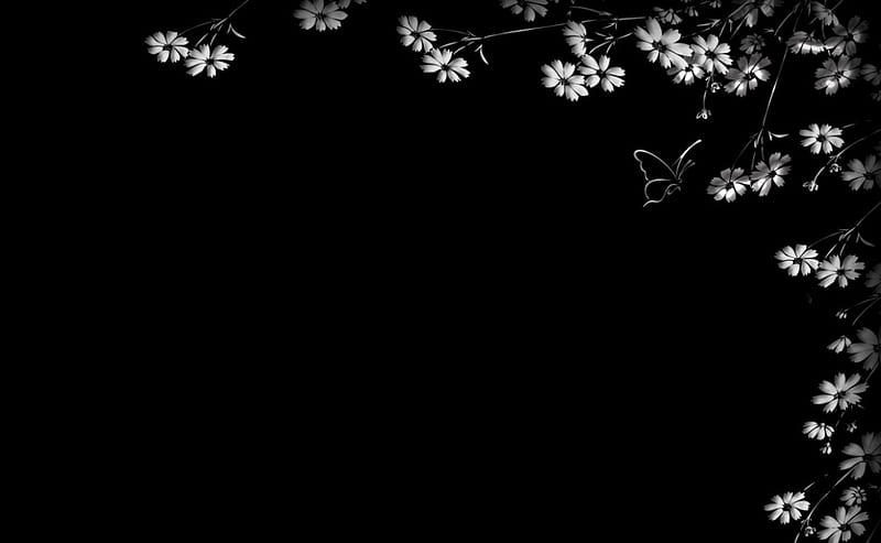 Simple, black, flowers, white, texture, HD wallpaper | Peakpx