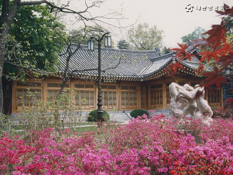 Spring in Korea, house, garden sculpture, korea, flowers, pink azaleas, HD wallpaper