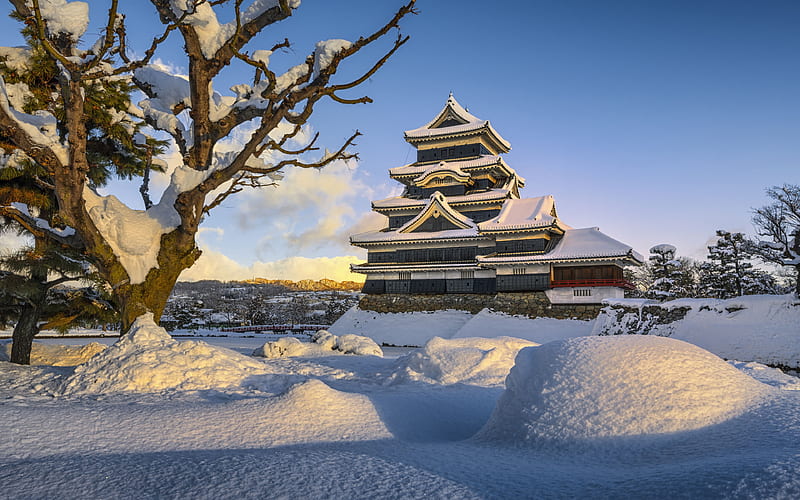 Toji Temple winter, Kyoto, japanese landmarks, japan, HD wallpaper