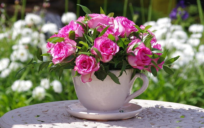Rose Still Life, bouquet, blossoms, cup, garden, pink, HD wallpaper