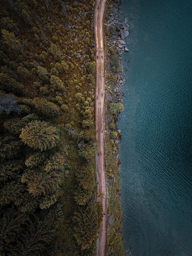 top view, road, sea, forest, trees, HD phone wallpaper