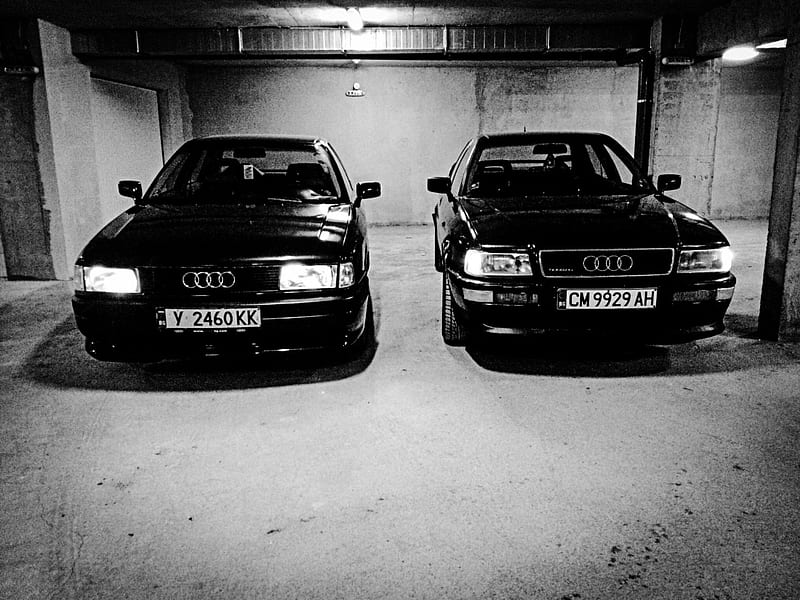 Sport Edition & Competition, competition, audi80, b4, b3, sport edition, audi, HD wallpaper
