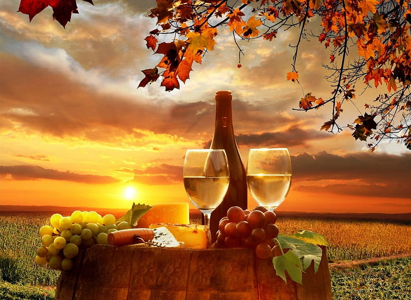 Autumn sunset, autumn, special, glasses, yellow, sunset, clouds, fruit, graphy, leaves, gold, vines, romantic, drinks, wine, golden, grape, glass, tree, magical, nature, HD wallpaper
