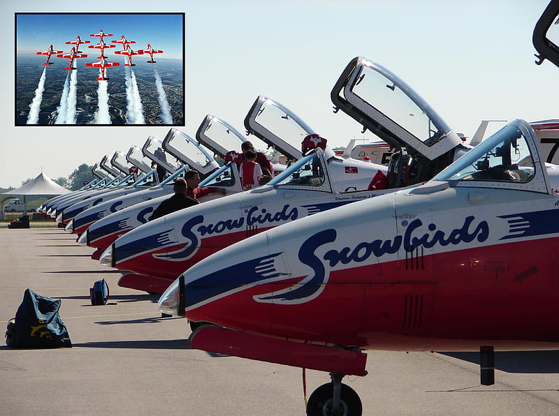 Snowbirds, Jets, White, Red, Squadron, HD wallpaper