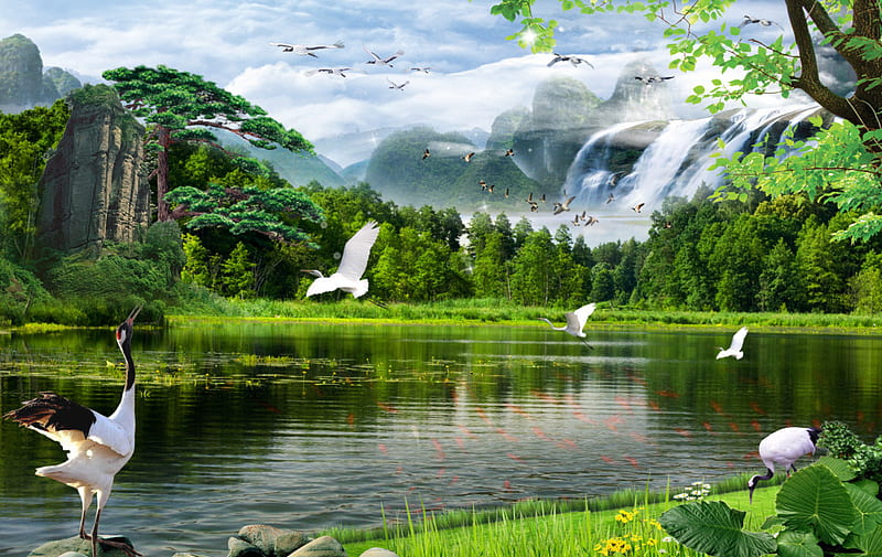 beautyful lake, forest, flowers, water, lake, HD wallpaper