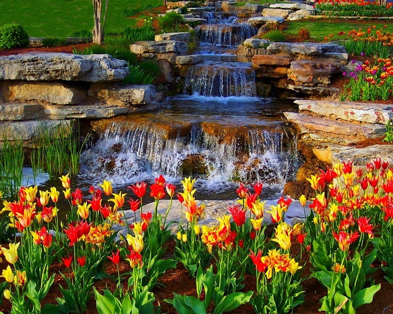 Beautiful Cascading Waterfall, Yellow, Red, Orange, Cascading, Grass, Colorful, bonito, Steps, Tulips, Water, Trees, Green, Gradient, Flowers, Rocks, HD wallpaper