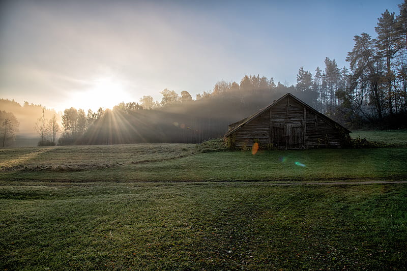 the old barn, country, home, roads, nature, buildings, oldtimes, history, morning, foggy, sunshine, HD wallpaper