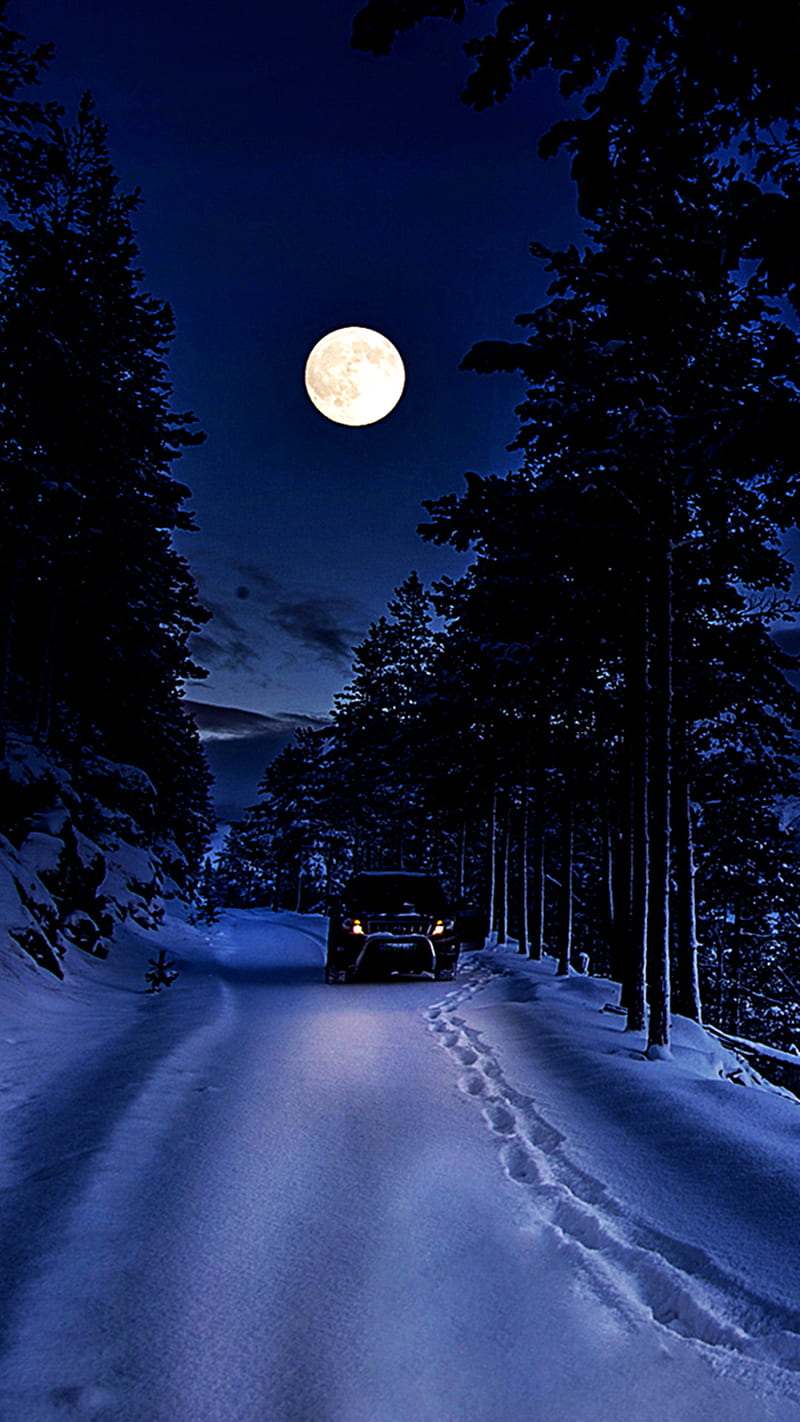 Winter Night in Moonlight