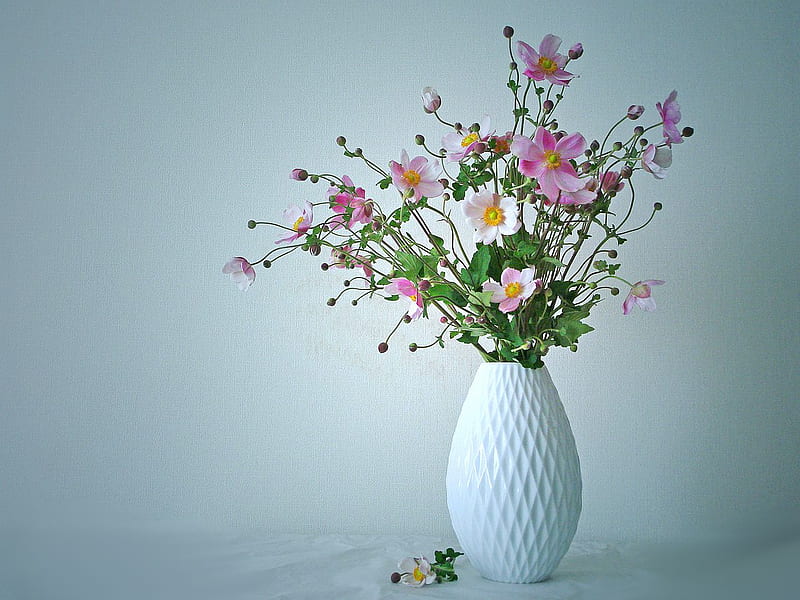 Anemone..., ceramic, plant, vase, soft, anemone, still life, japanese anemone, green, flowers, arrangement, beauty, nature, white, pink, HD wallpaper