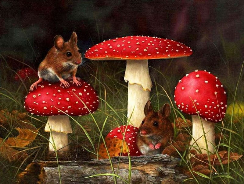 Unexpected Visitors, mouse, painting, mushrooms, funny, artwork, HD wallpaper