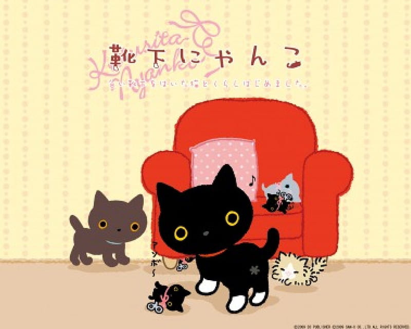 Kutusita Nyanko, Cute, Kutusita, Neko, kawaii, Black, San-X, Nyanko, HD wallpaper